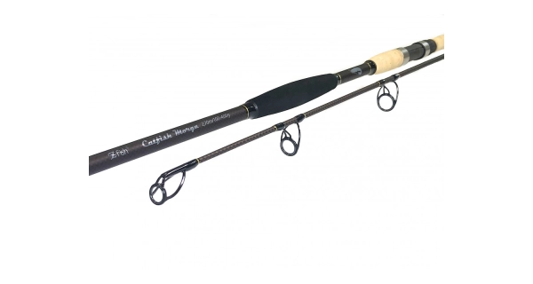 ZFISH - Prut Catfish Morga 2,7 m 100-400 g